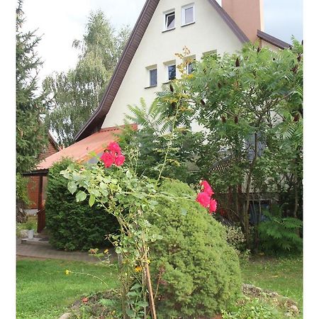 Apartament Lesny Supraśl エクステリア 写真