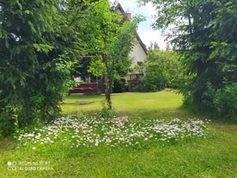 Apartament Lesny Supraśl エクステリア 写真