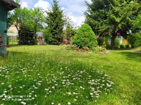 Apartament Lesny Supraśl エクステリア 写真